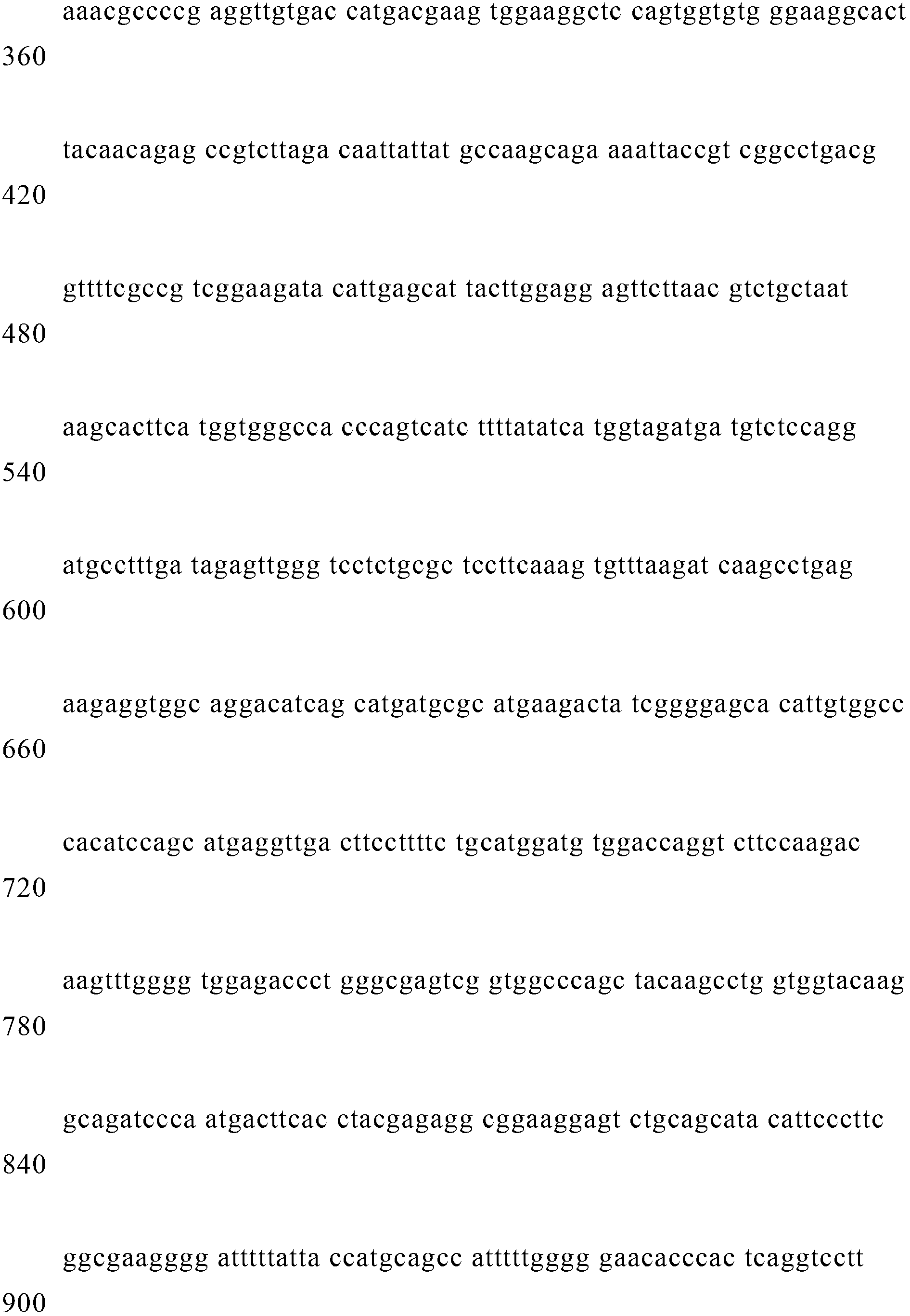 Alpha-1, 3 galactosyl transferase fusion protein and preparation method thereof