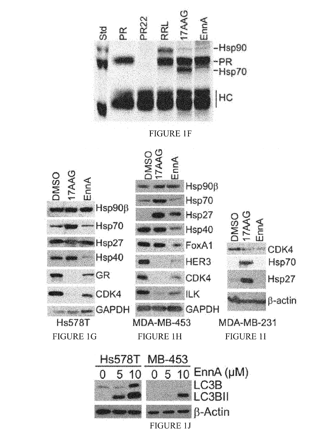 Compositions and Methods for Inhibiting Tumor-Induced Immune Suppression