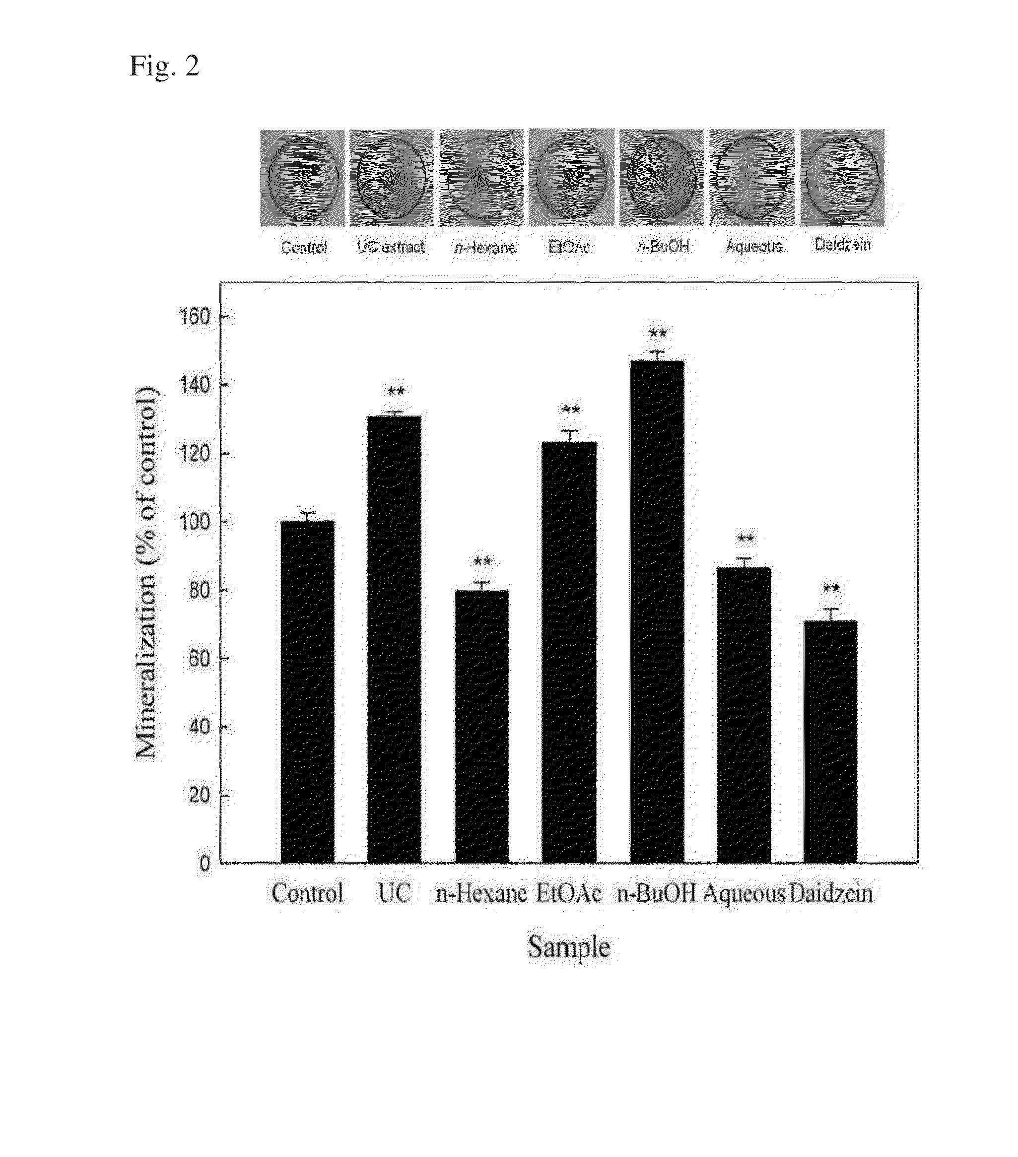 Use of uraria in promoting osteogenesis or providing neuroprotection