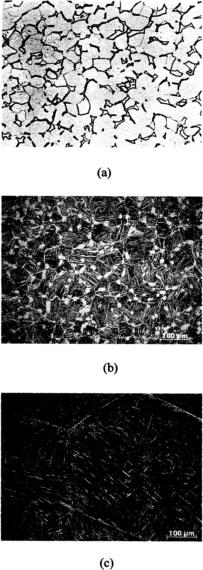 Titanium alloy with thin sheet layer microstructure and manufacturing method thereof
