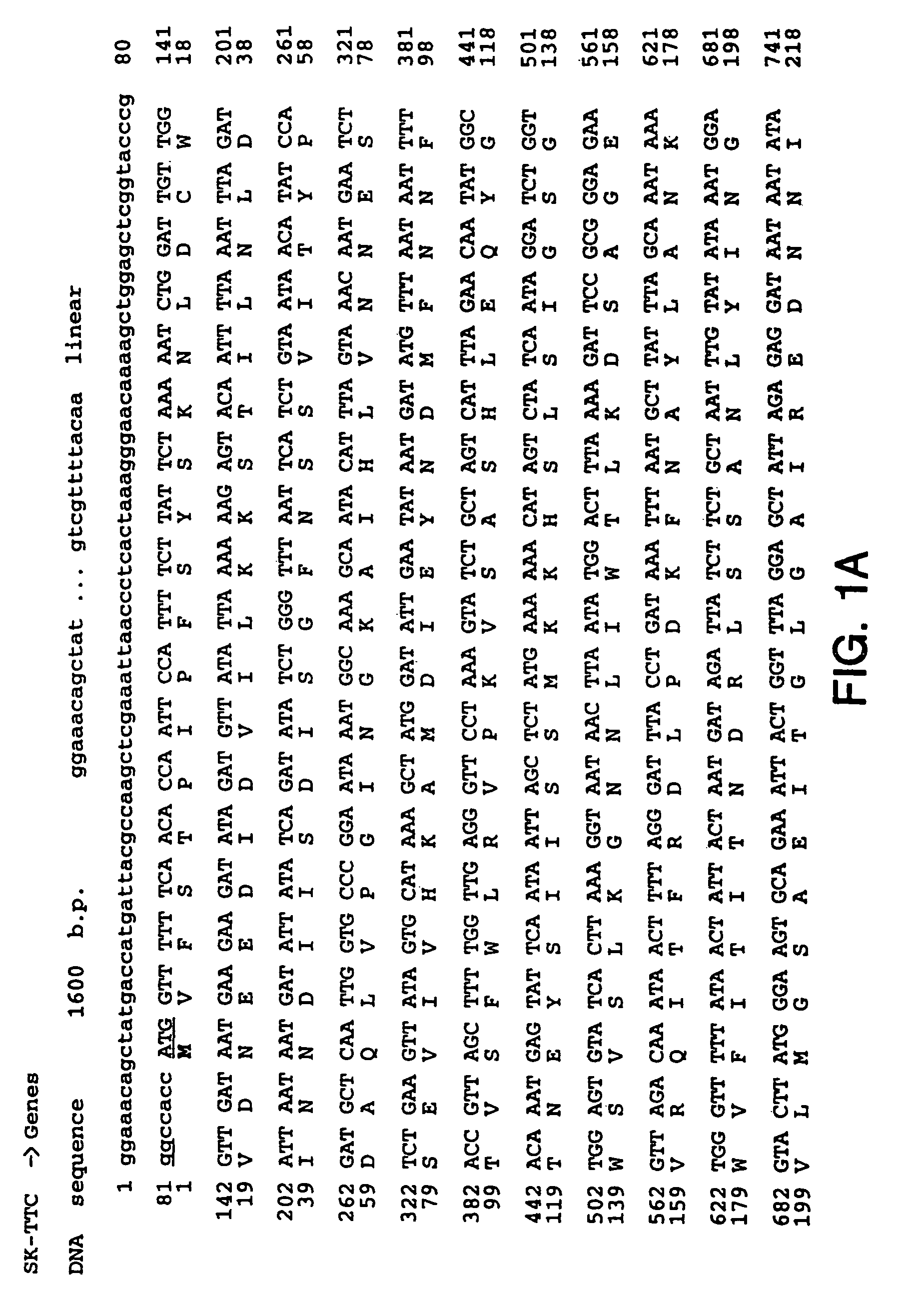 Methods for direct visualization of active synapses