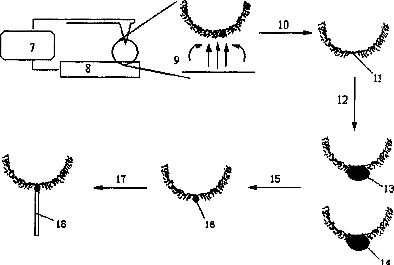 Method for preparing probe tip of nano tube