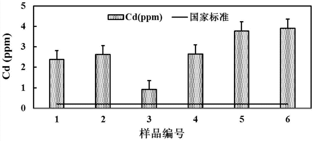 Method for Determination of Cadmium Isotope Ratio in Rice by Multi-receiver Inductively Coupled Plasma Mass Spectrometry