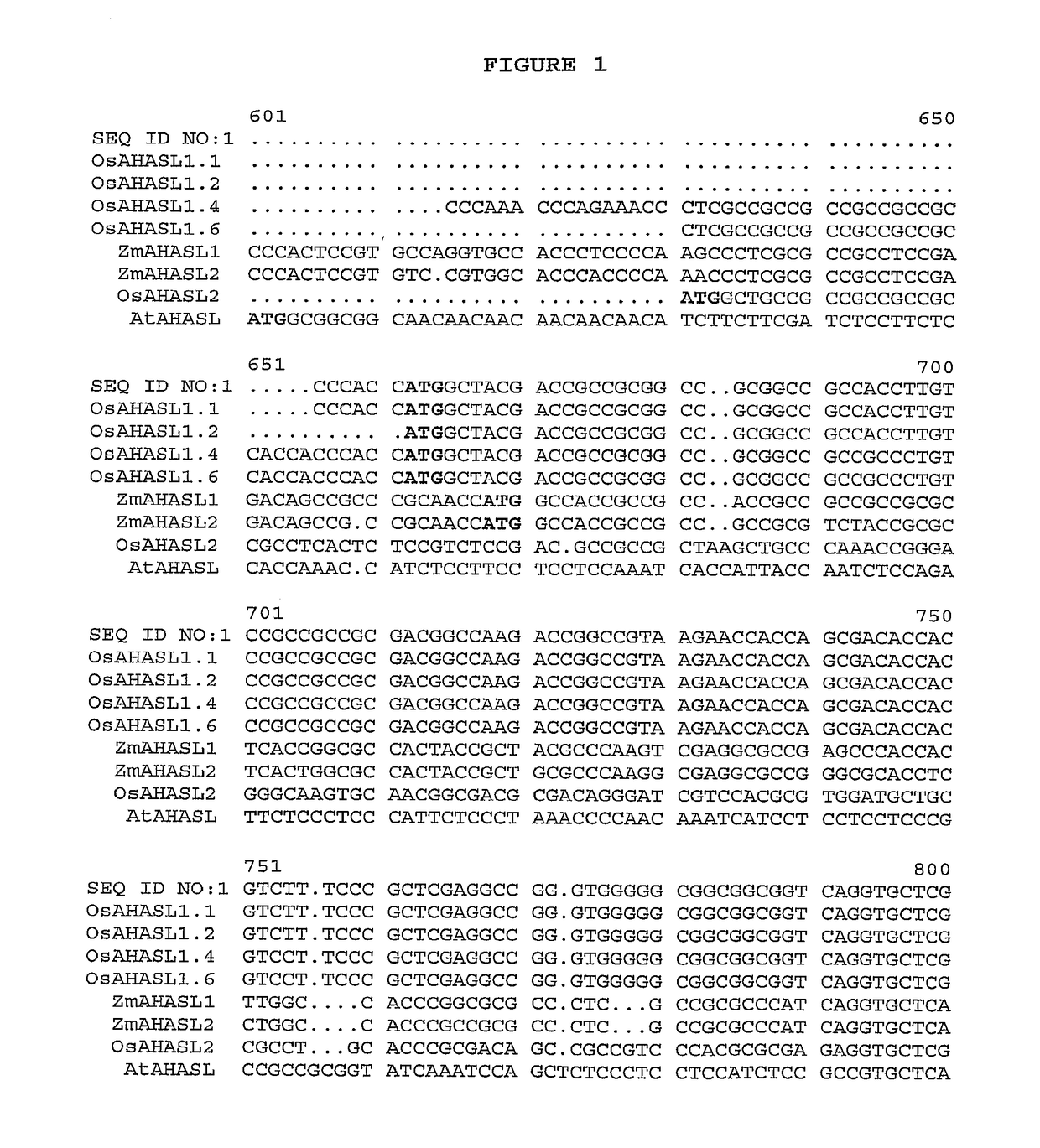 Herbicide-resistant rice plants, polynucleotides encoding herbicide-resistant acetohydroxyacid synthase large subunit proteins, and methods of use