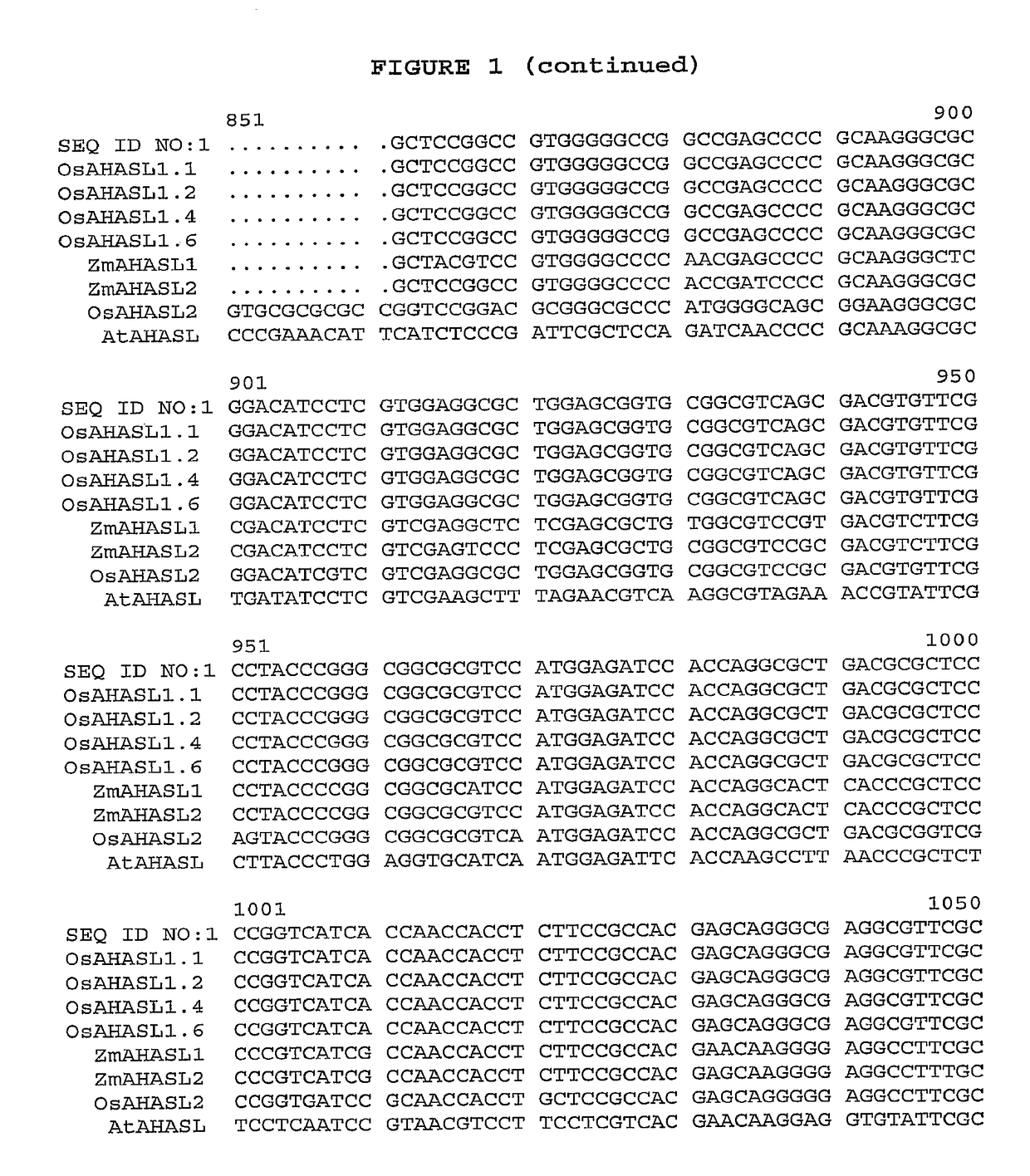 Herbicide-resistant rice plants, polynucleotides encoding herbicide-resistant acetohydroxyacid synthase large subunit proteins, and methods of use