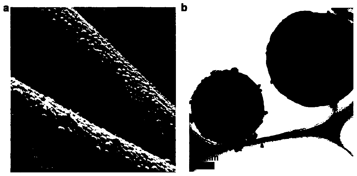 Flexible vanadium tetrasulfide-carbon composite anode material and preparation method and application thereof