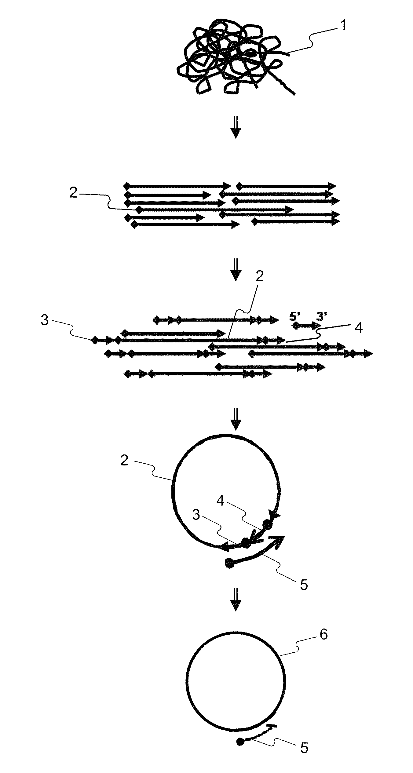 Methods for accurate sequence data and modified base position determination