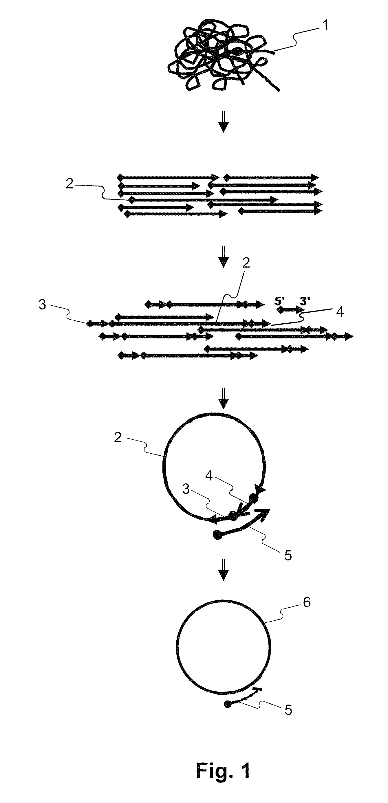 Methods for accurate sequence data and modified base position determination
