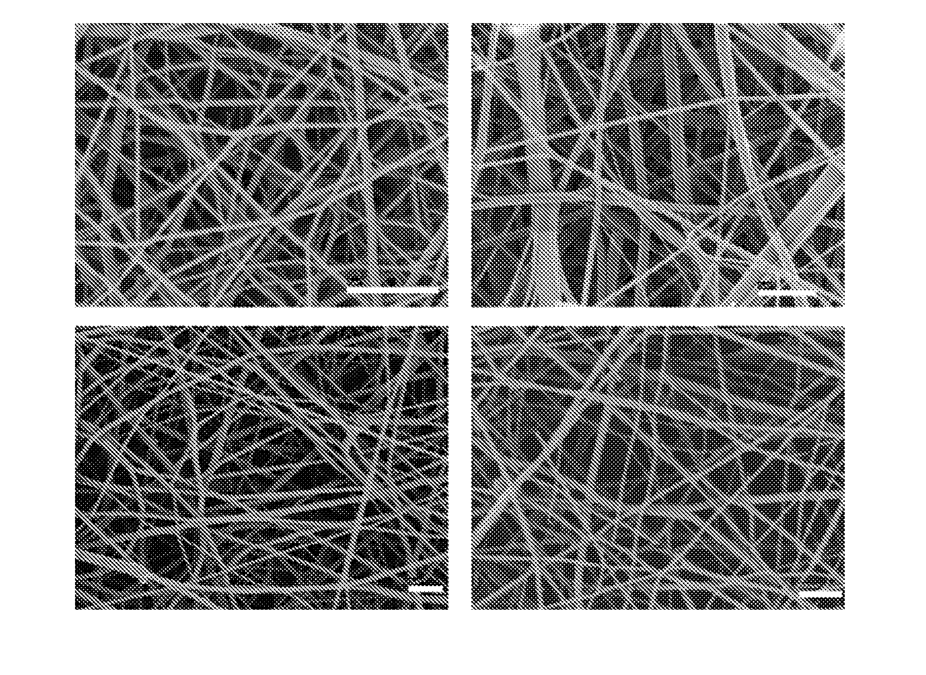 Fibrous mats containing chitosan nanofibers