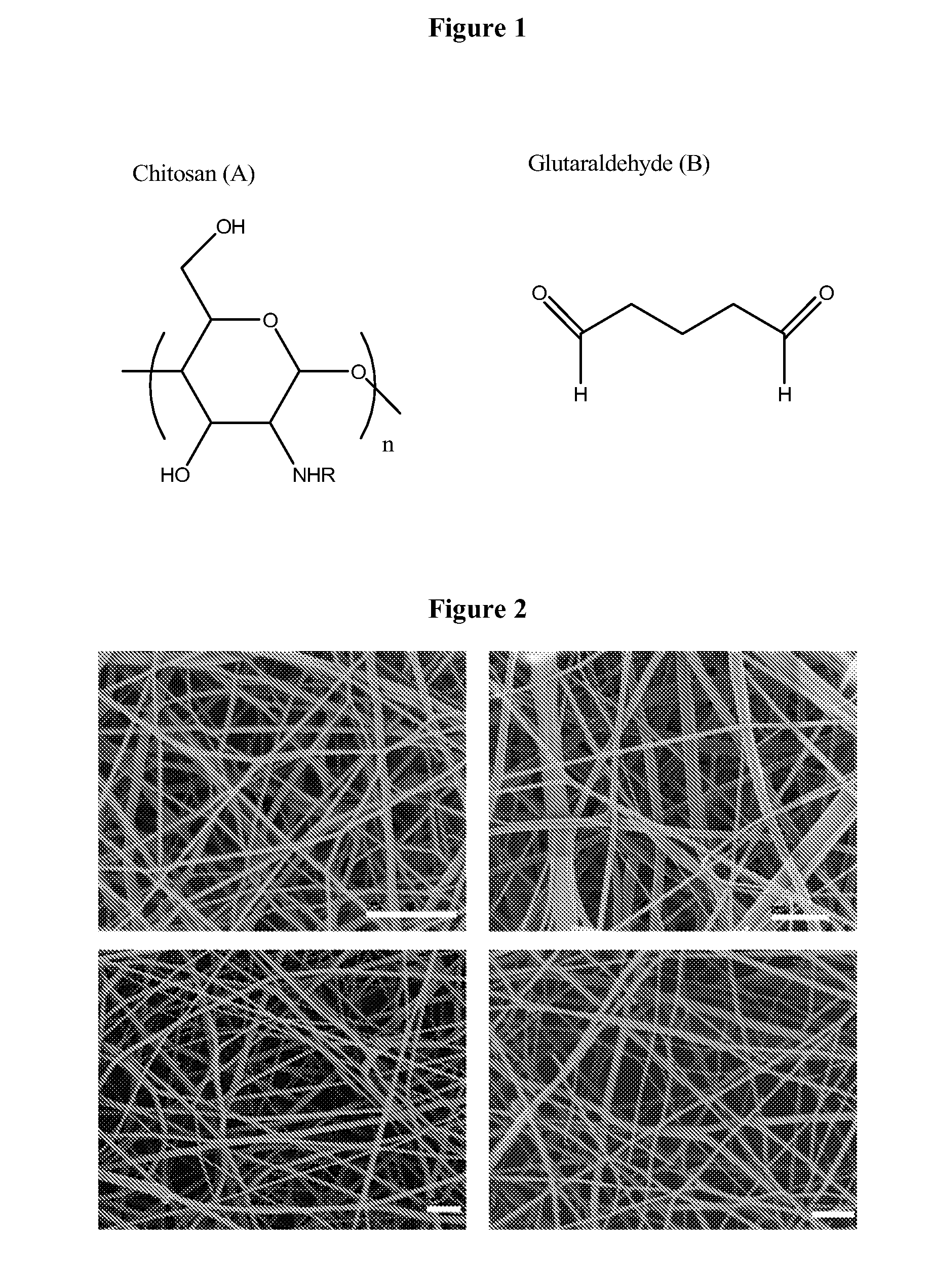 Fibrous mats containing chitosan nanofibers