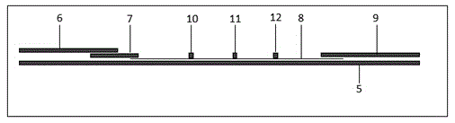 PCT/SAA combined test paper strip for rapid detection and preparation method thereof