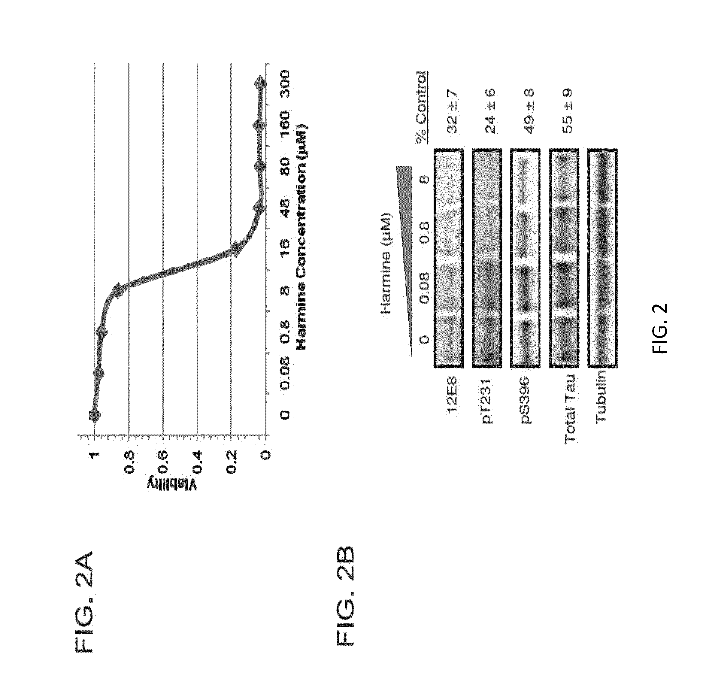 Compounds that inhibit tau phosphorylation