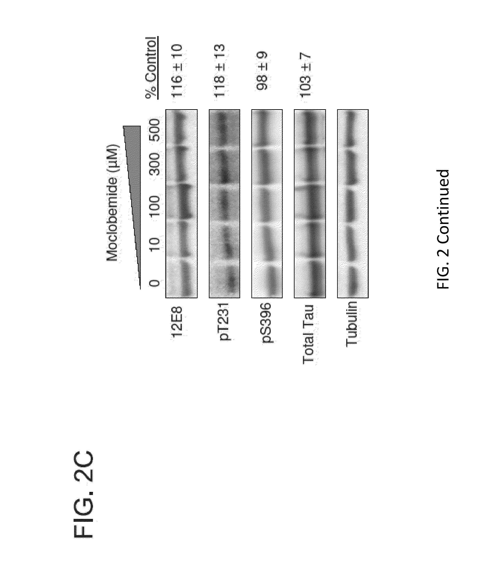 Compounds that inhibit tau phosphorylation