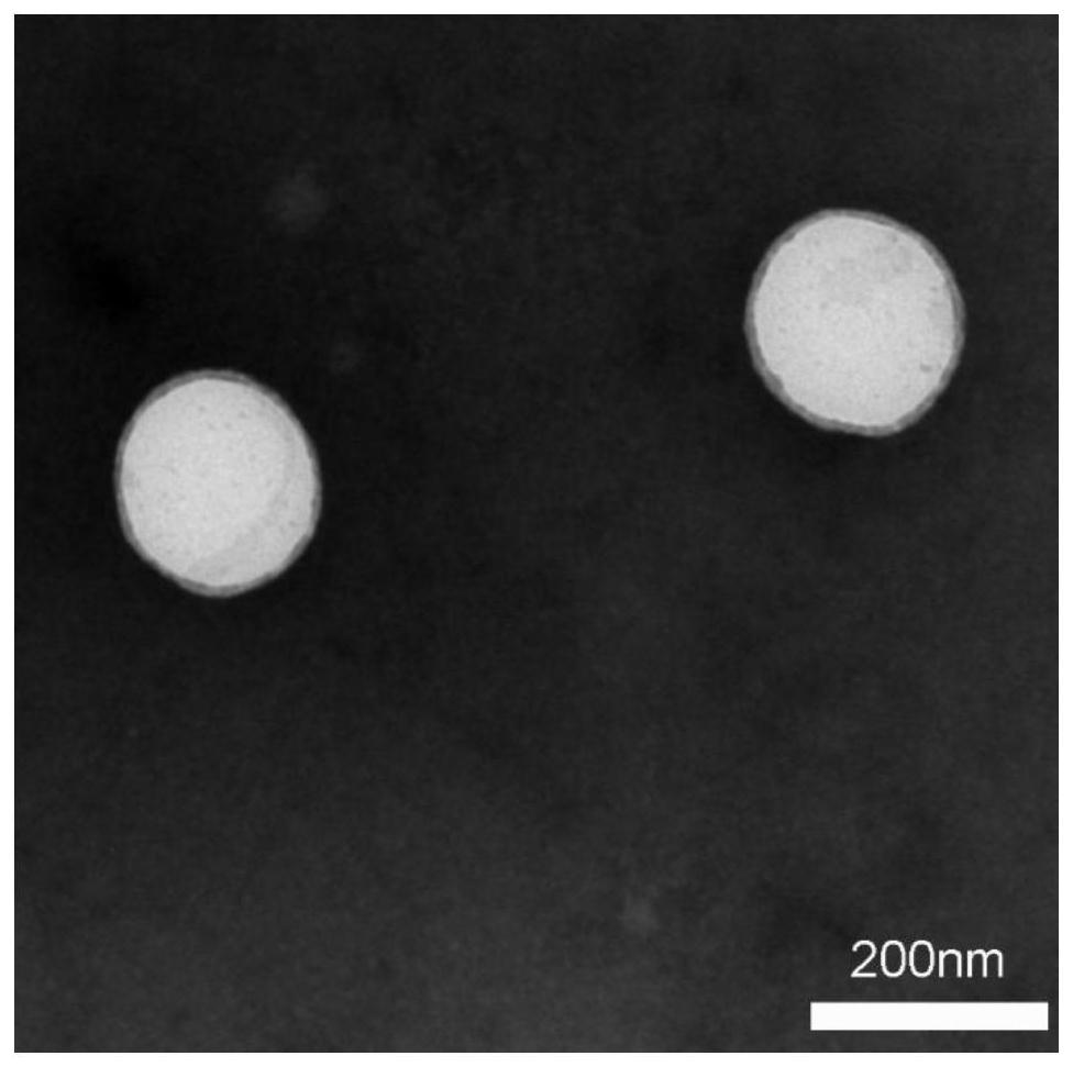 Submicron emulsion of propolis phospholipid complex and preparation method of submicron emulsion