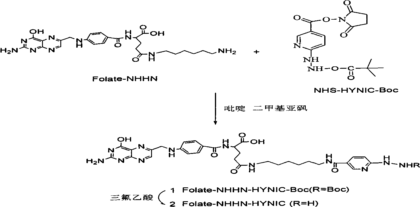 Preparation method and application of 99mTc-marked hydrazino nicotinamide-folate coordination compound