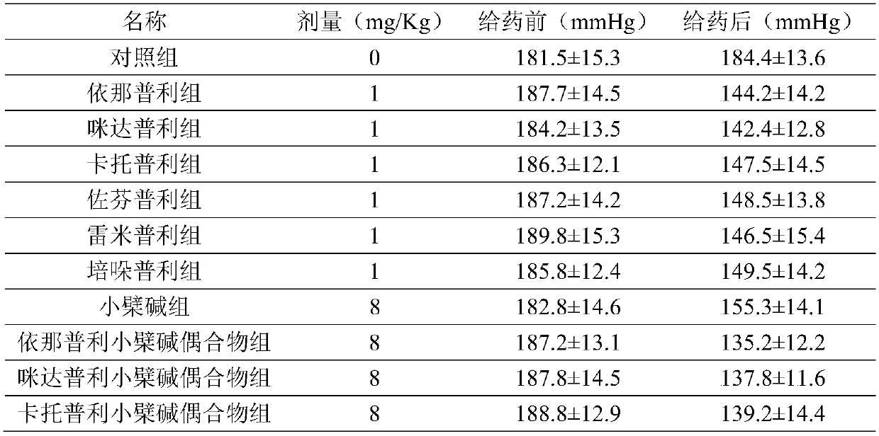 Preparation and medical use of a kind of Puli-type berberine conjugate