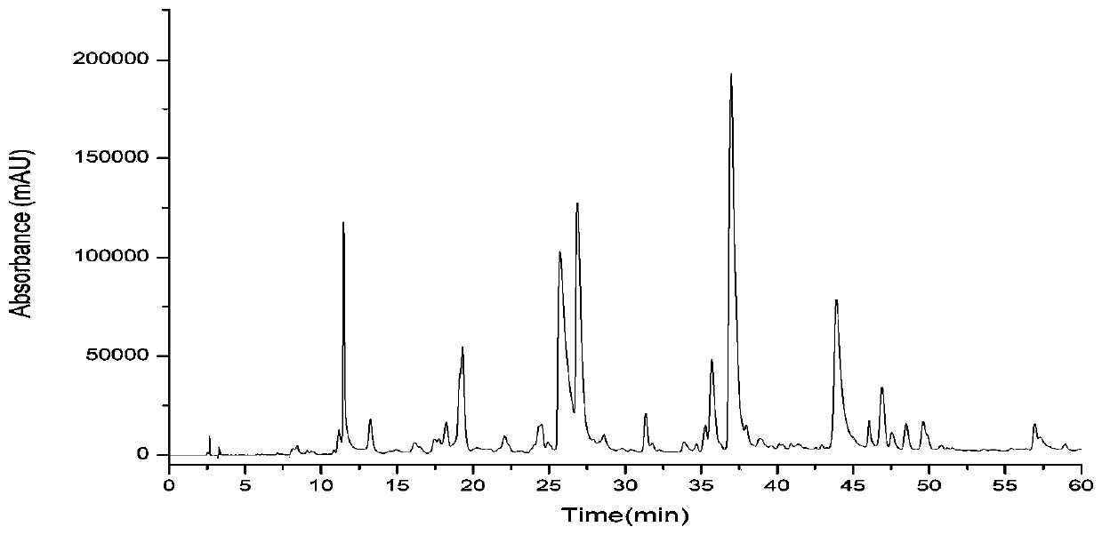 Method for separating gelsemium elegans alkaloid monomers from gelsemium elegans alkaloids by combining high-speed counter-current chromatography with preparative liquid chromatography