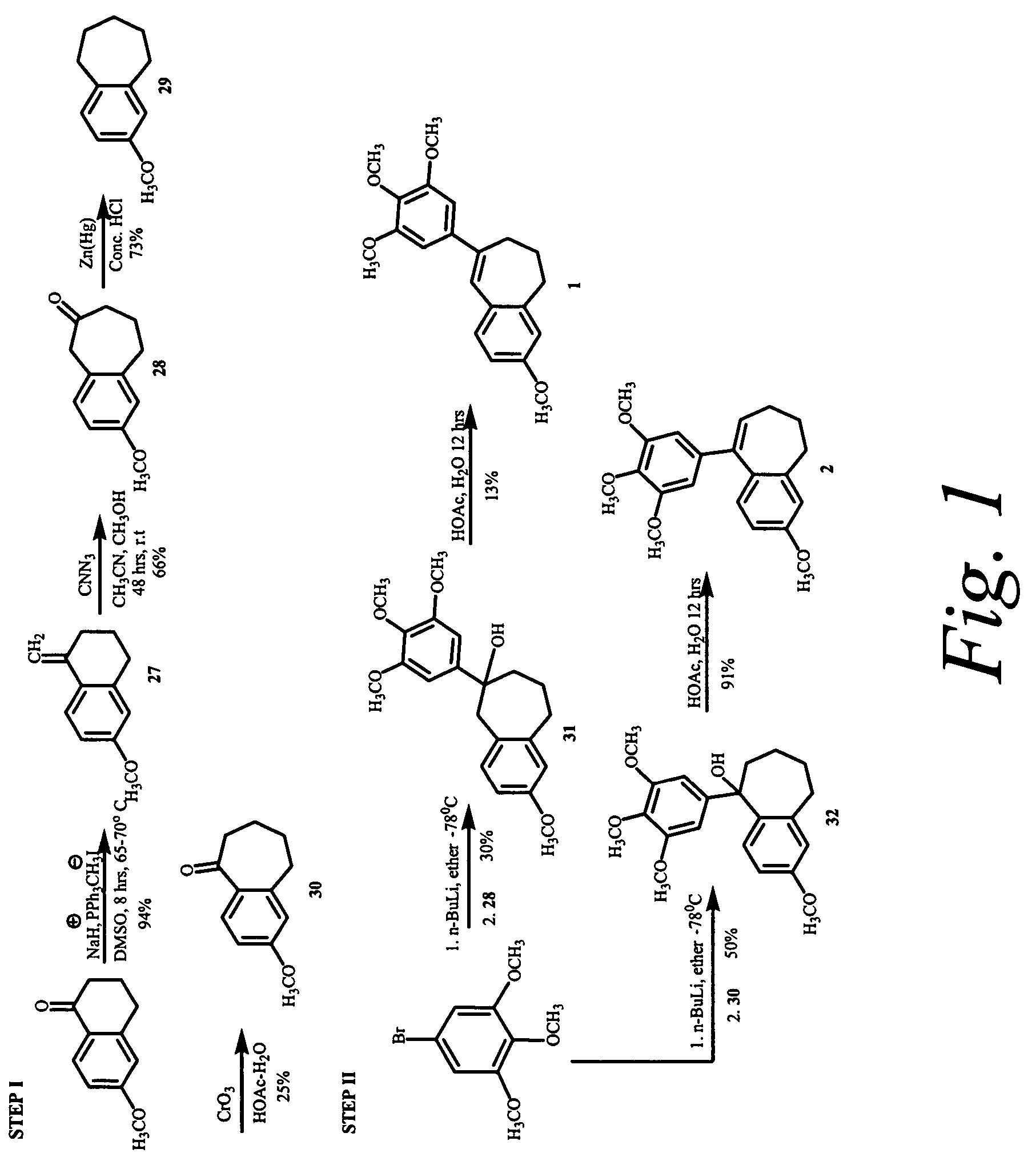 Combretastatin analogs with tubulin binding activity