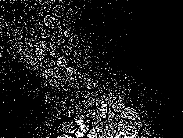 High-strength high-plasticity wrought magnesium alloy