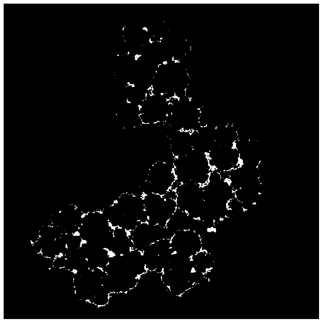 Gold magnetic composite microspheres with monodispersity and superparamagnetism and preparation method thereof