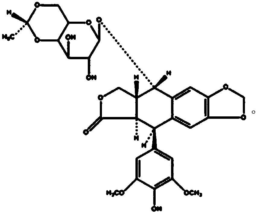 An etoposide solid pharmaceutical composition
