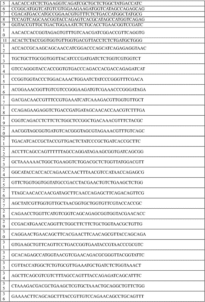 Artificially synthesized gene of encoding thymidine phosphorylase protein, and application of gene