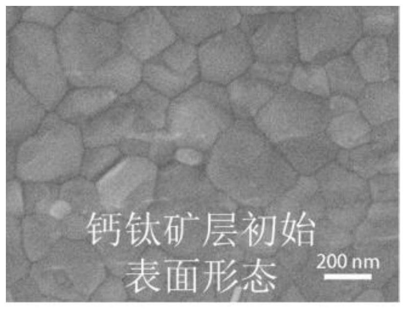 Organic-inorganic hybrid perovskite surface interface treatment method, material and application