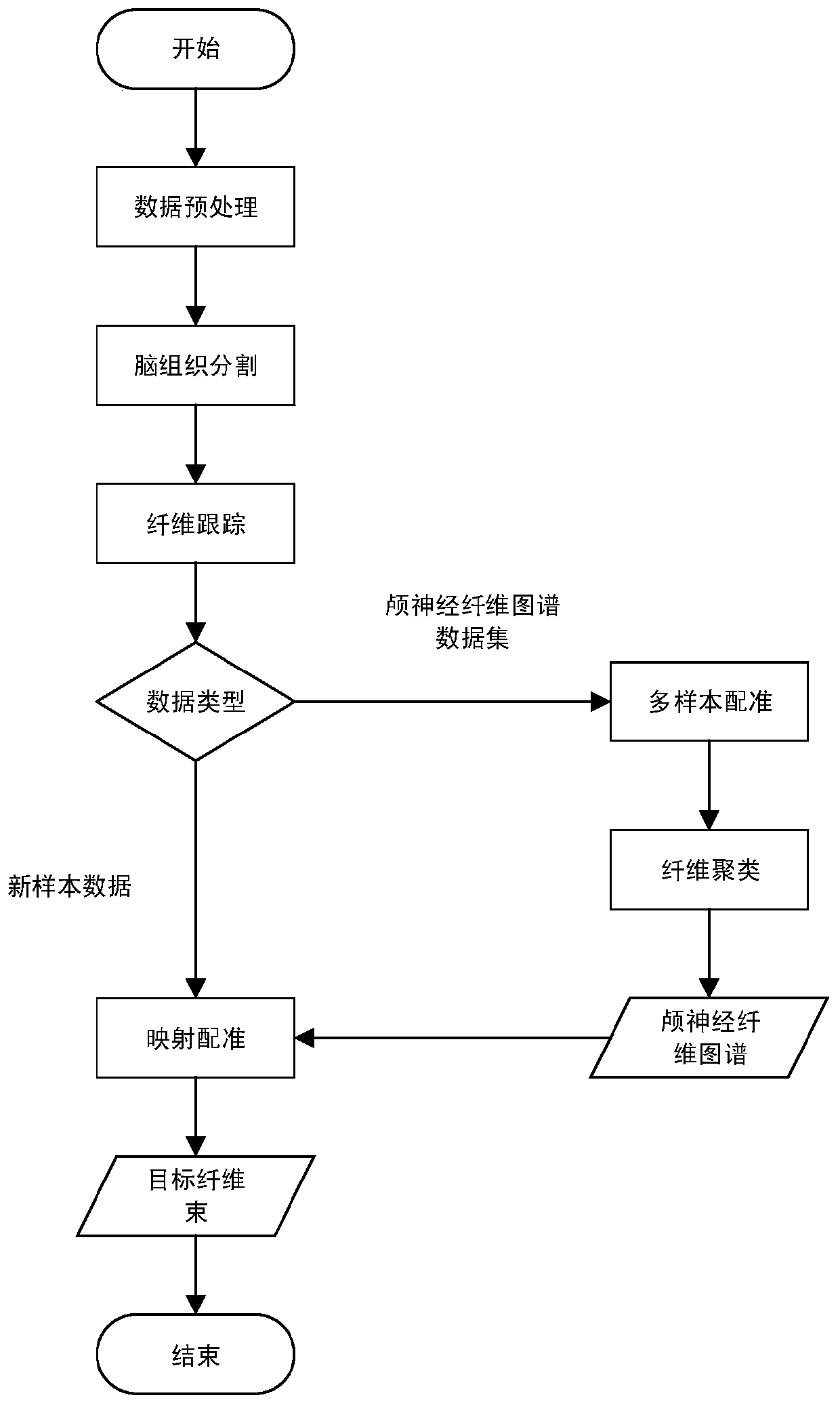 Cranial nerve automatic segmentation method based on large sample data driving