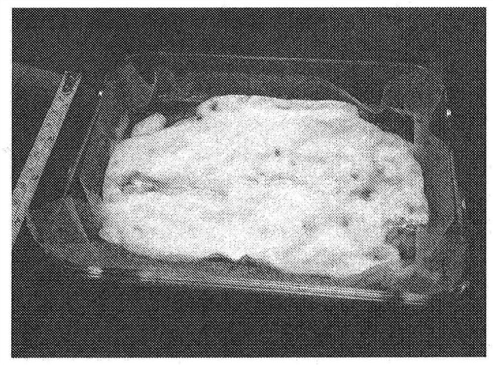 Food material composition and membrane bioreactor design comprising filamentous fungal particles