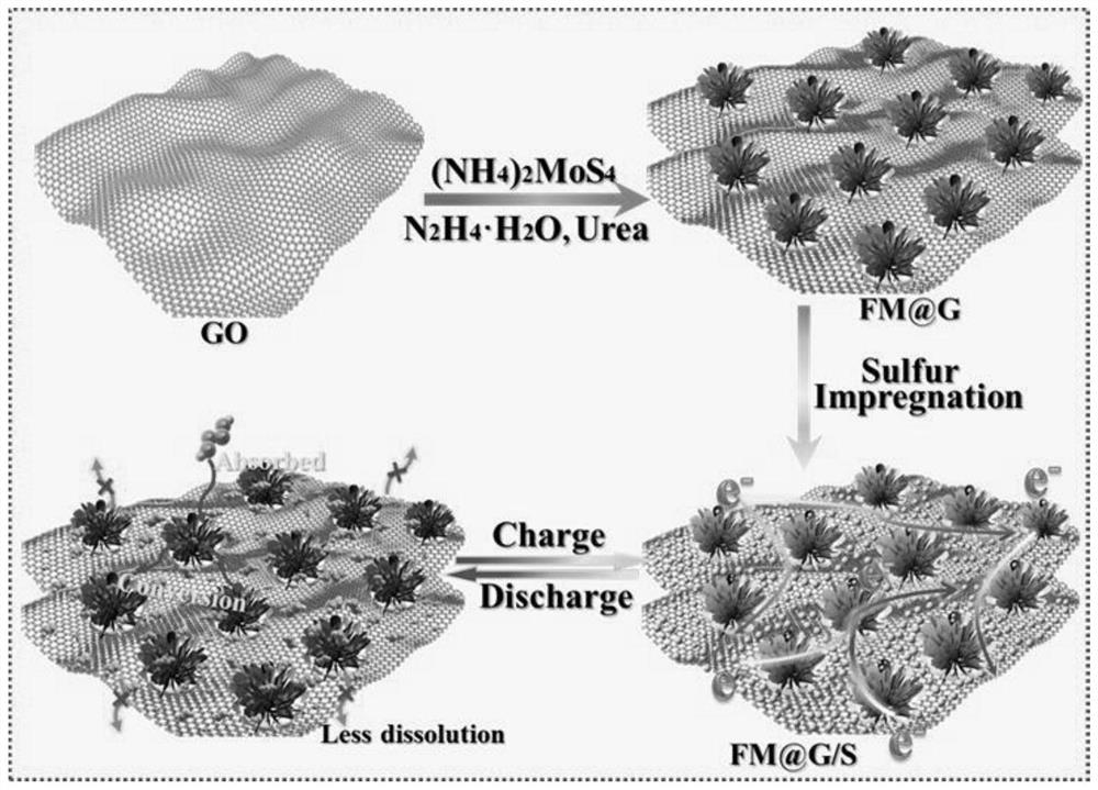 Preparation method and application of graphene-loaded high-conductivity molybdenum sulfide nanoflower material