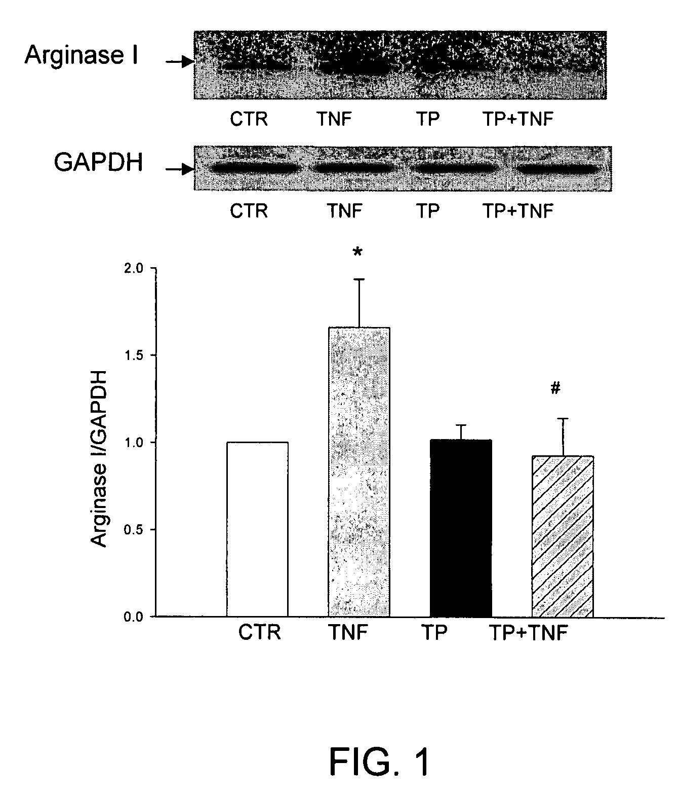 Method of treating endothelial dysfunction comprising administration of a thrombin peptide derivative