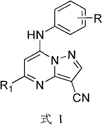 Pyrazolo[1,5‑a] pyrimidine mustard derivatives, preparation method and tumor treatment application