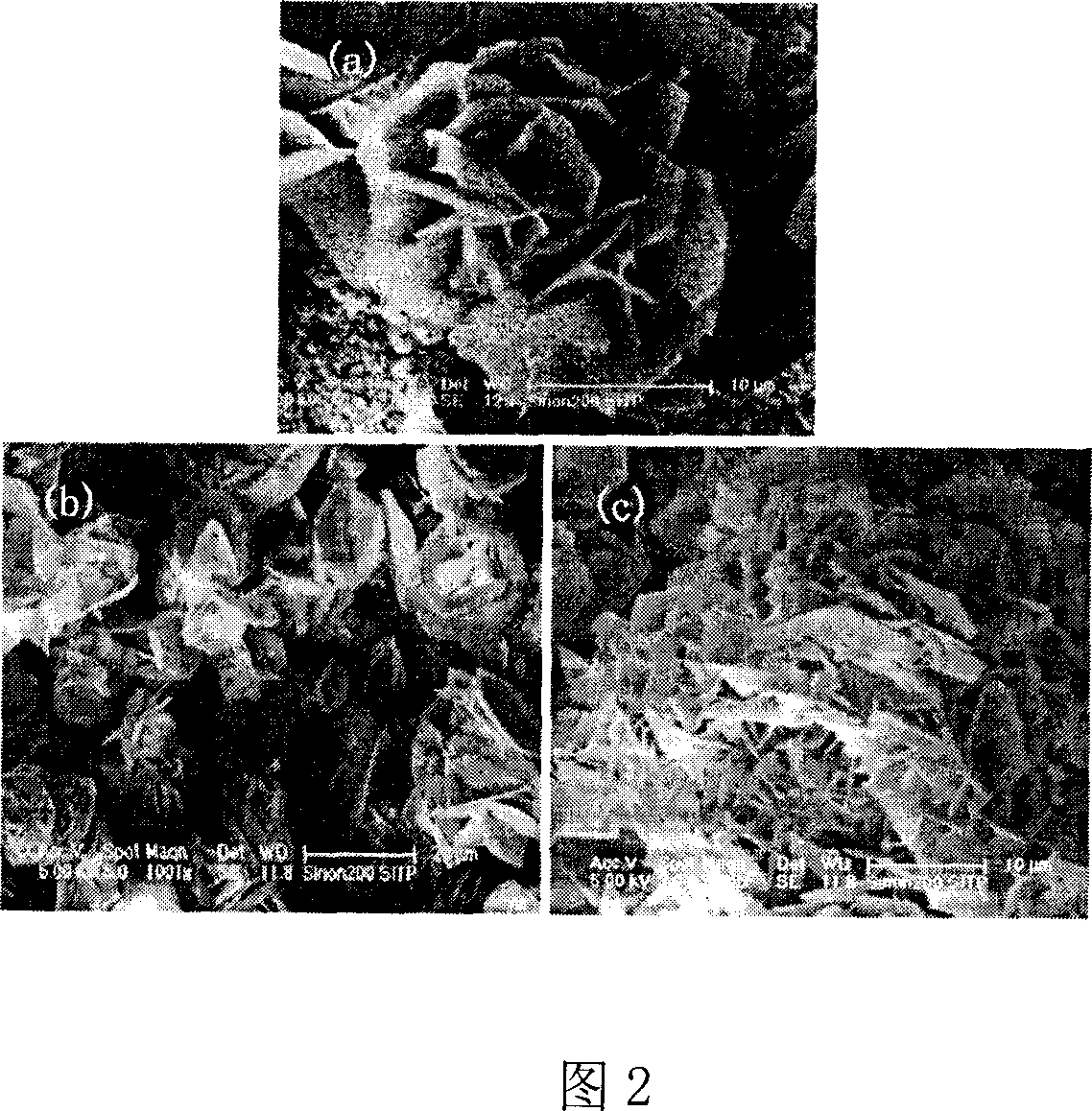 Method for hydrothermally synthesizing series flower shape zinc oxide micron/nano structure