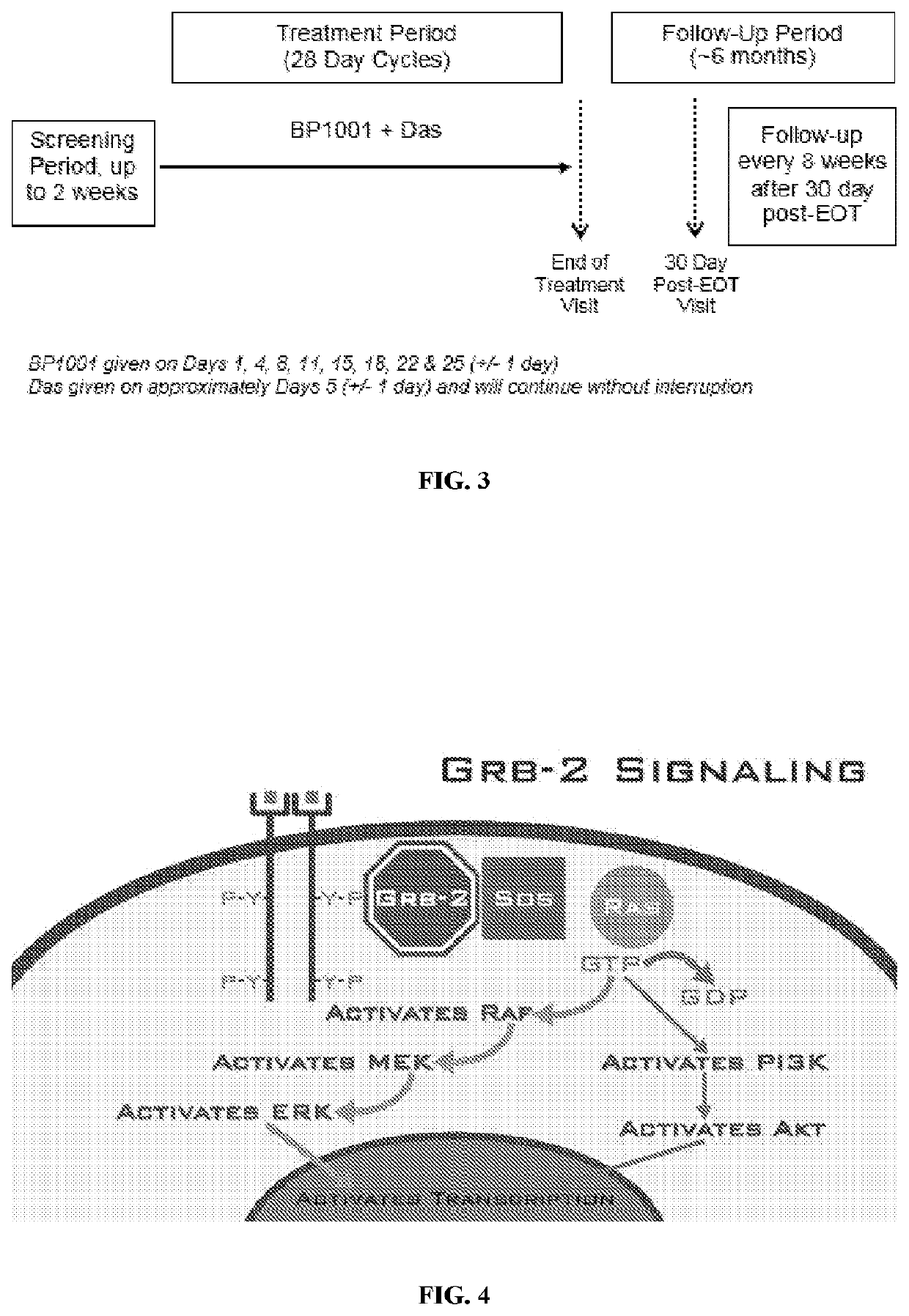 Combination therapy with liposomal antisense oligonucleotides