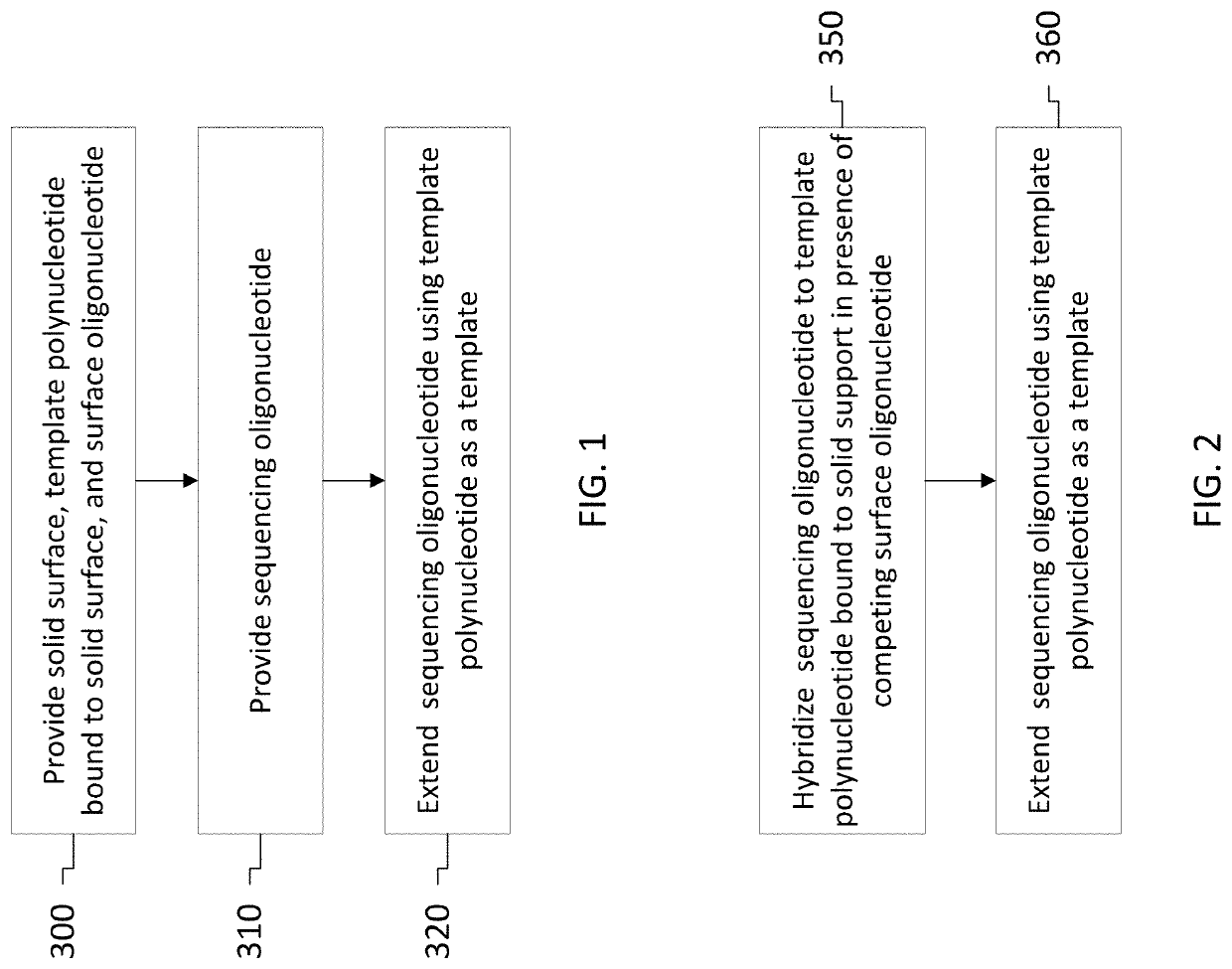 Primer oligonucleotide for sequencing