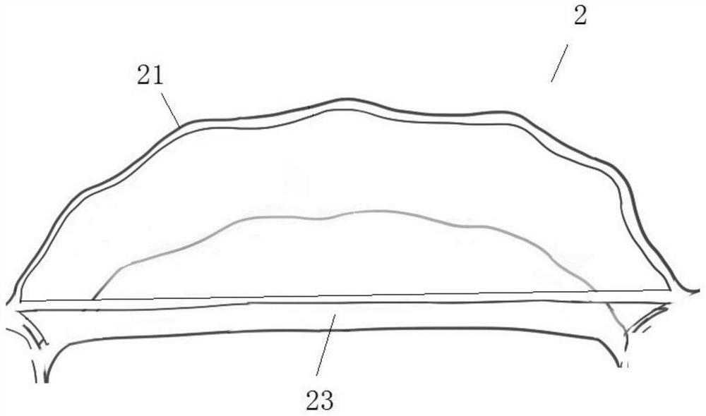 Removable covering type invisible plane guide plate, invisible orthodontic device and manufacturing method of invisible plane guide plate and invisible orthodontic device