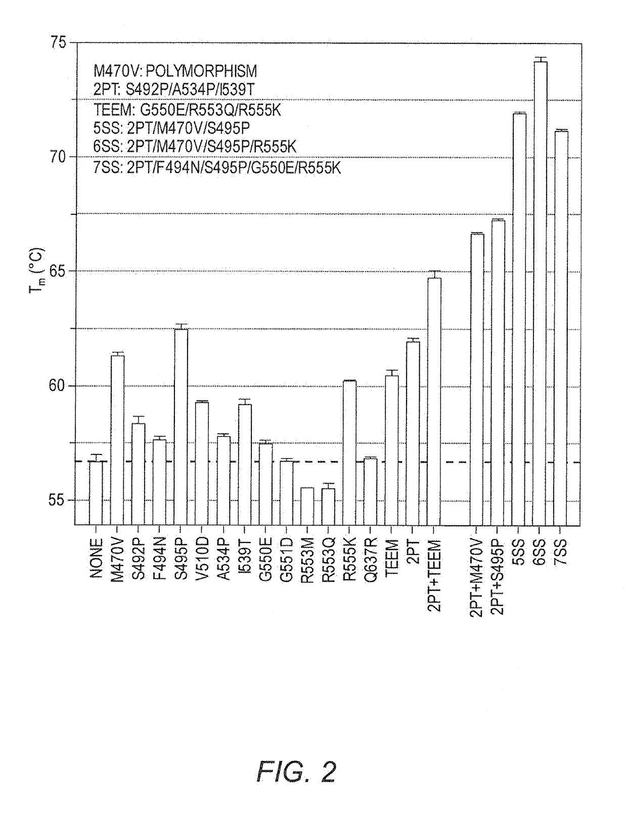 Modified cystic fibrosis transmembrane conductance regulator (CFTR) polypeptides with increased stability and uses thereof