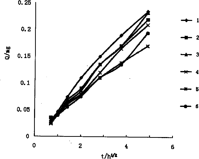 Compound poultice for treating mumps and preparation method thereof