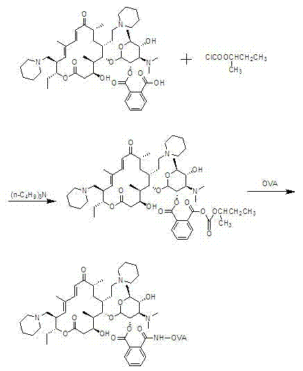 Tildipirosin hapten and artificial antigen as well as preparation methods thereof