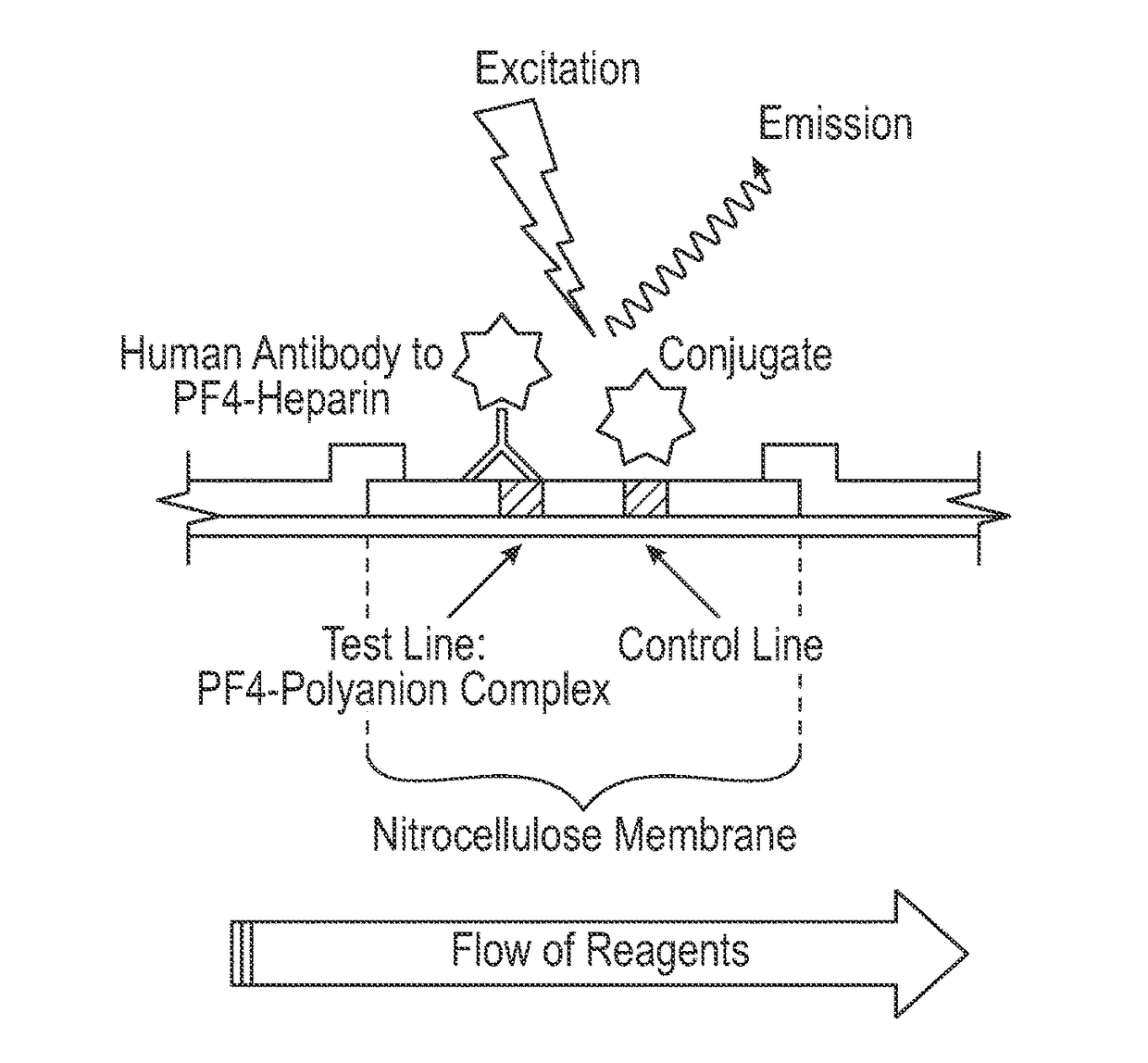 Diagnostic devices, methods and systems for detecting platelet factor 4 (PF4)/heparin antibodies