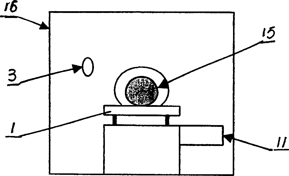 Magnetic heat treatment therapeutic apparatus for tumour