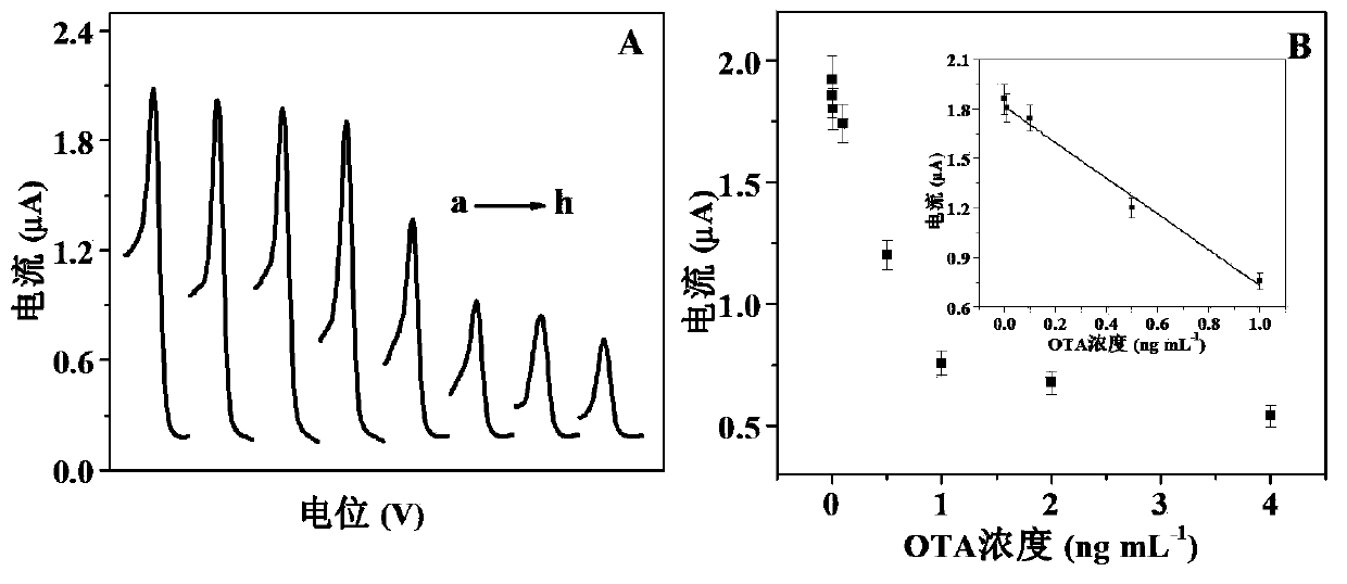 Method for detecting trace ochratoxin A (OTA) by adopting electrochemical aptamer sensor