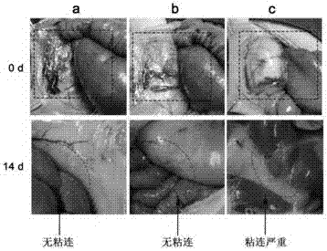 Preparation method of non-radical photochemical cross-linked hydrogel material, product and application thereof