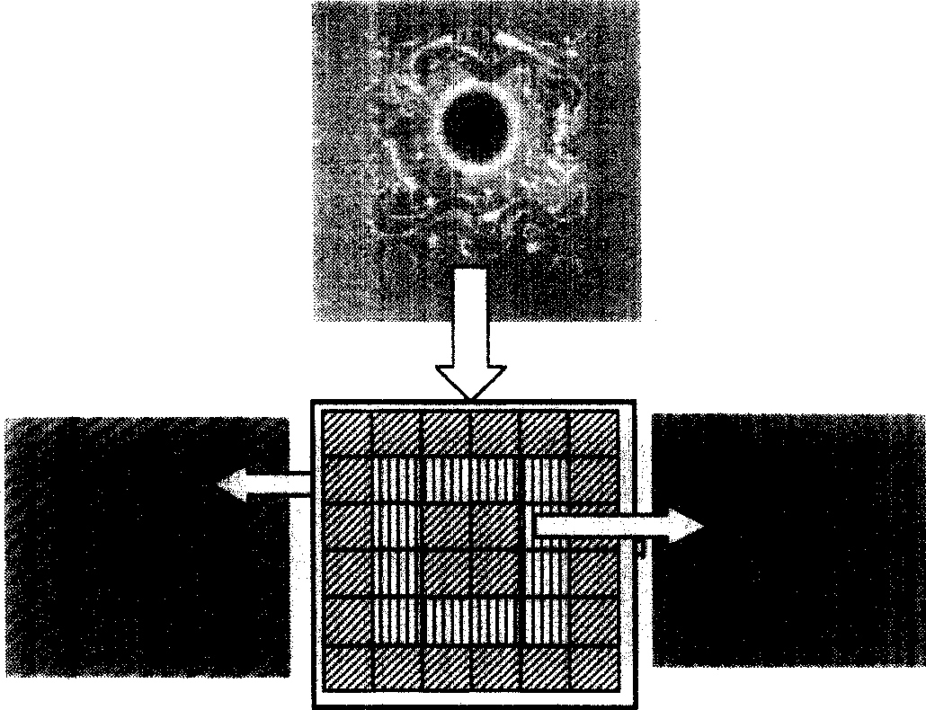 Method of preparing metal roller with surface relief microstructure