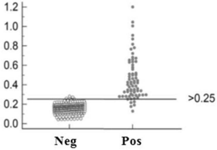 Peste des petits ruminants virus H protein antibody iELISA detection method and application