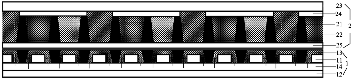 Display device and preparing method thereof