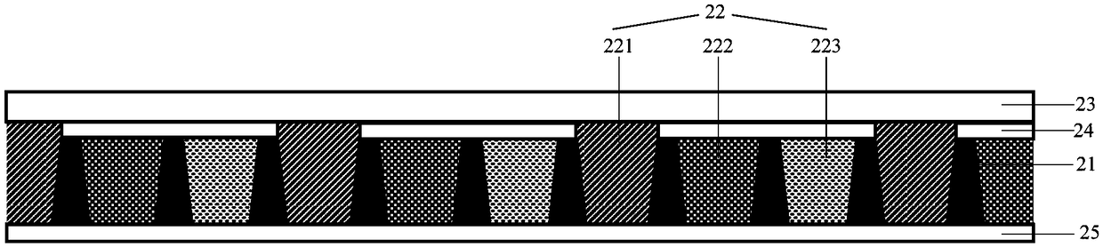 Display device and preparing method thereof