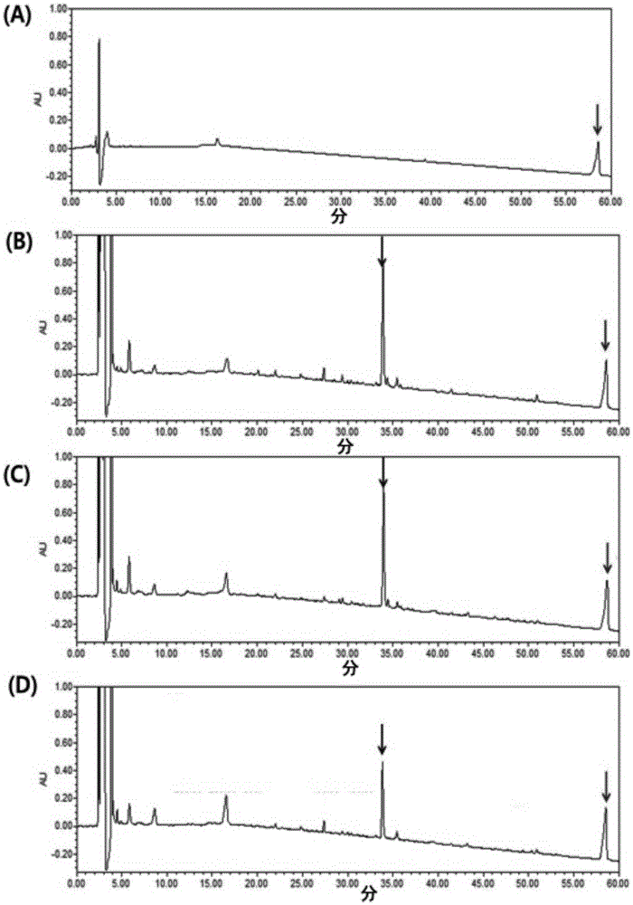 Method for discriminating rhizoma dioscoreae nipponicae medical materials