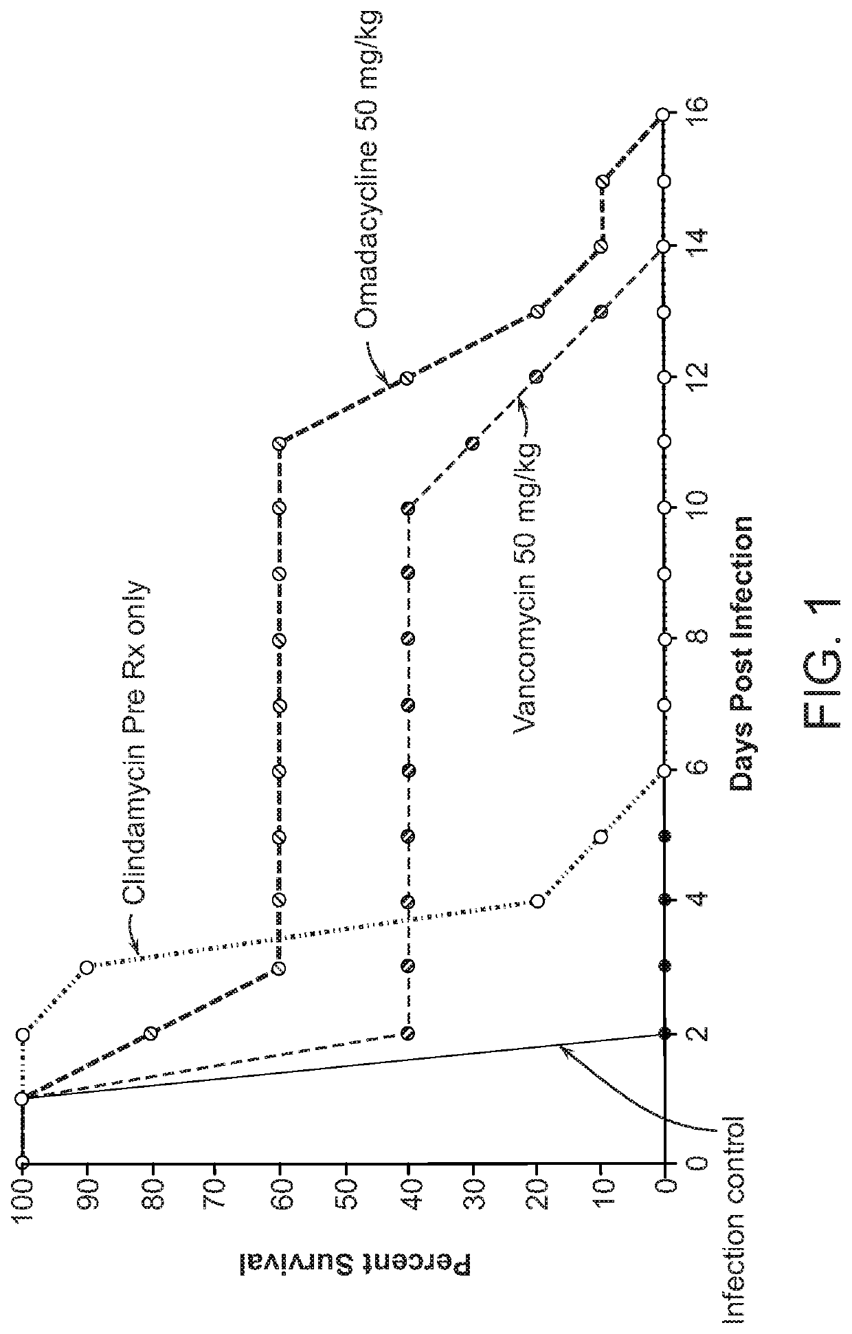 Methods for treating and preventing c. difficile infection