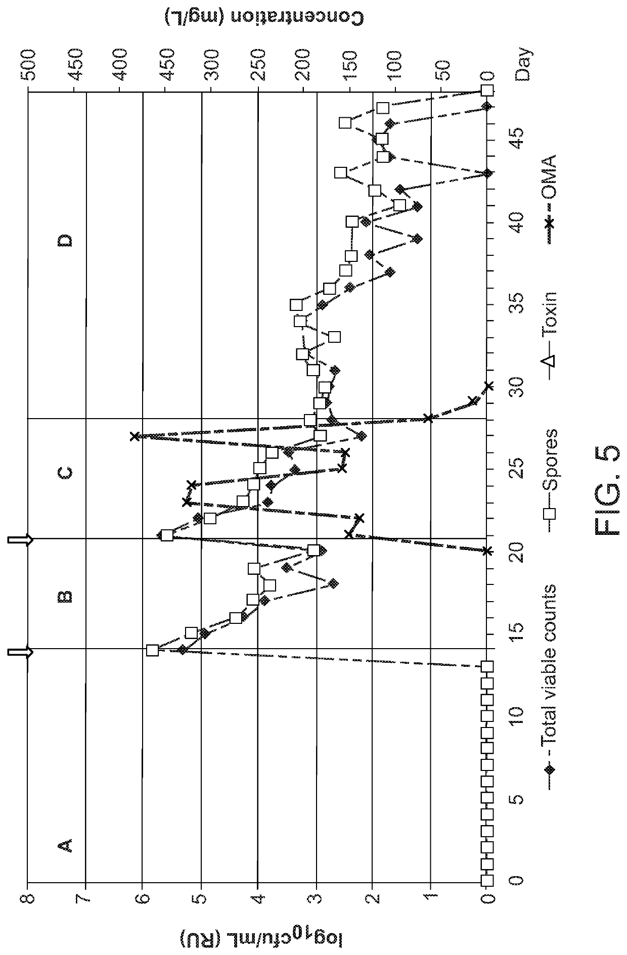 Methods for treating and preventing c. difficile infection